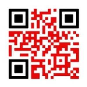 T-shirts and other misc items